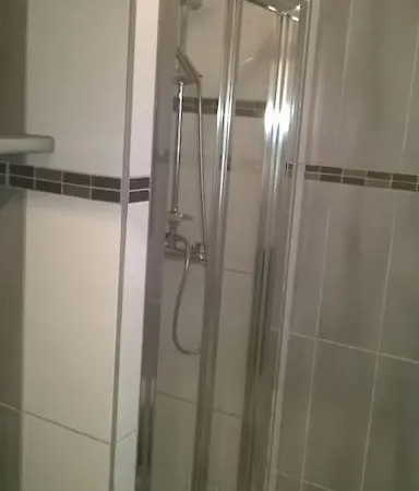 Le New Yorkais-jardin Des Plantes Angers